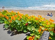 Dandidis Seaside Pension